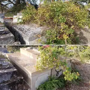 Nécessité d'entretenir une tombe lorsque la végétation déborde