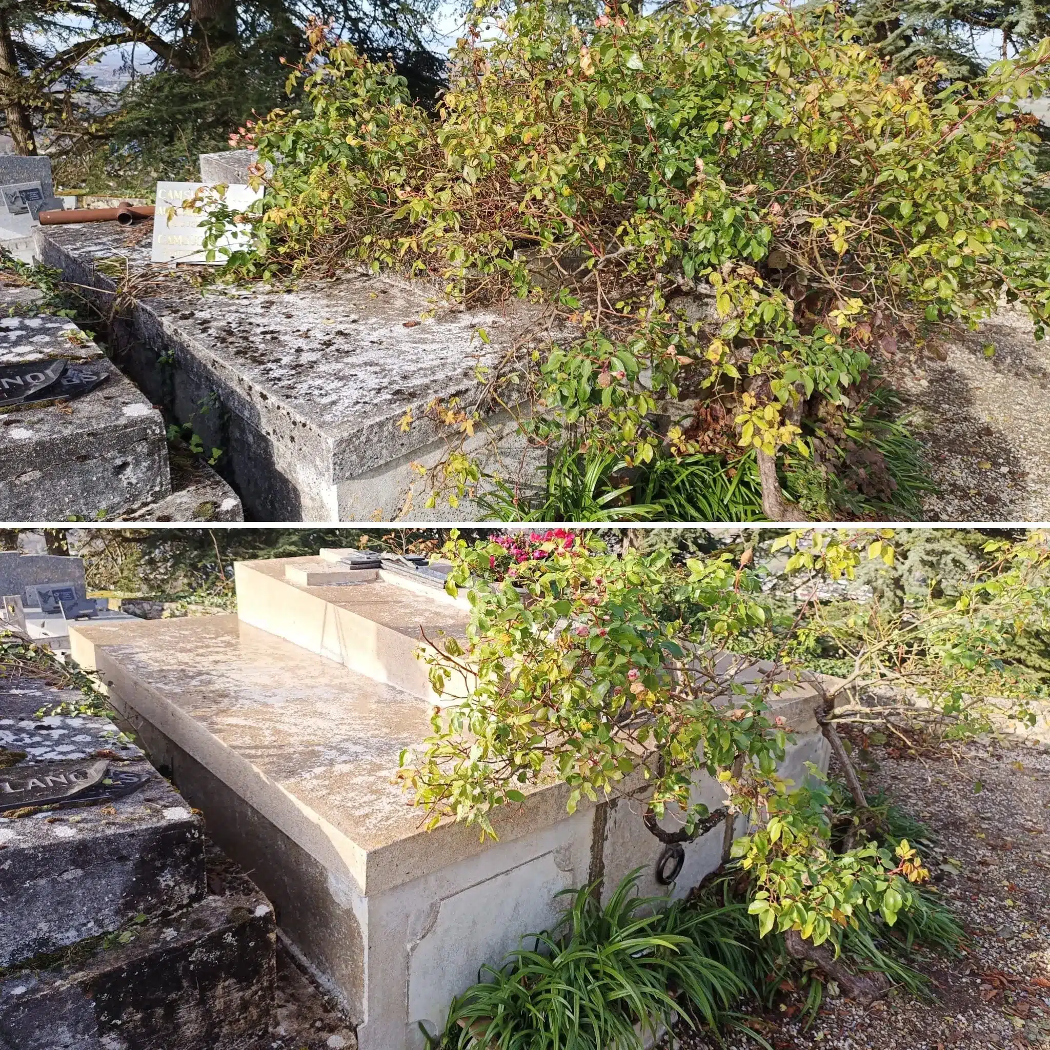 Nécessité d'entretenir une tombe lorsque la végétation déborde Nécessité d'entretenir une tombe lorsque la végétation déborde