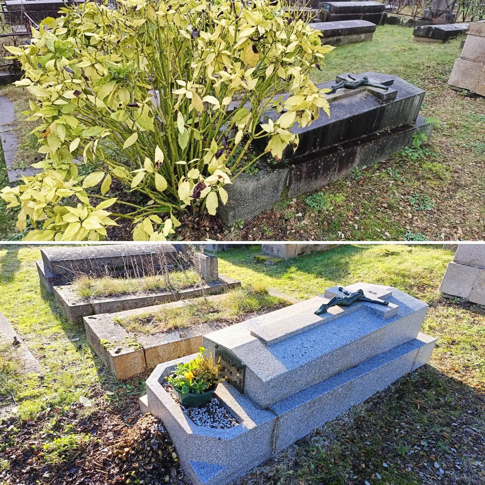 Deux vues de sépultures dans un cimetière: à gauche une grande haie de buis/arbustes jaunis devant une dalle funéraire sombre; à droite une tombe en pierre grise avec un symbole métallique et un petit pot de fleurs. Deux vues de sépultures dans un cimetière: à gauche une grande haie de buis/arbustes jaunis devant une dalle funéraire sombre; à droite une tombe en pierre grise avec un symbole métallique et un petit pot de fleurs.