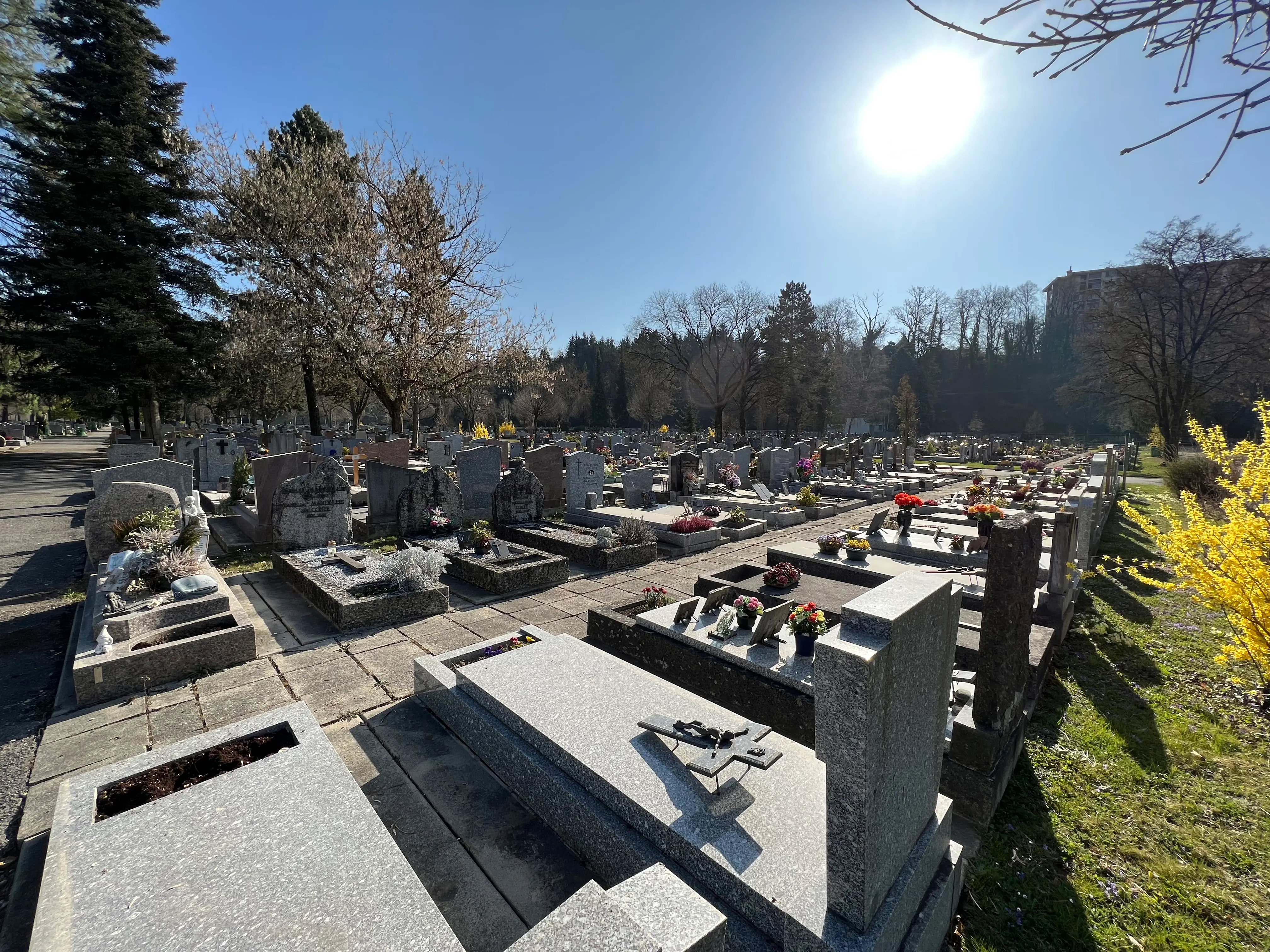 Vue d'un cimetière bien entretenu avec des rangées de tombes en pierre, chemins pavés et arbres autour, sous un ciel ensoleillé.