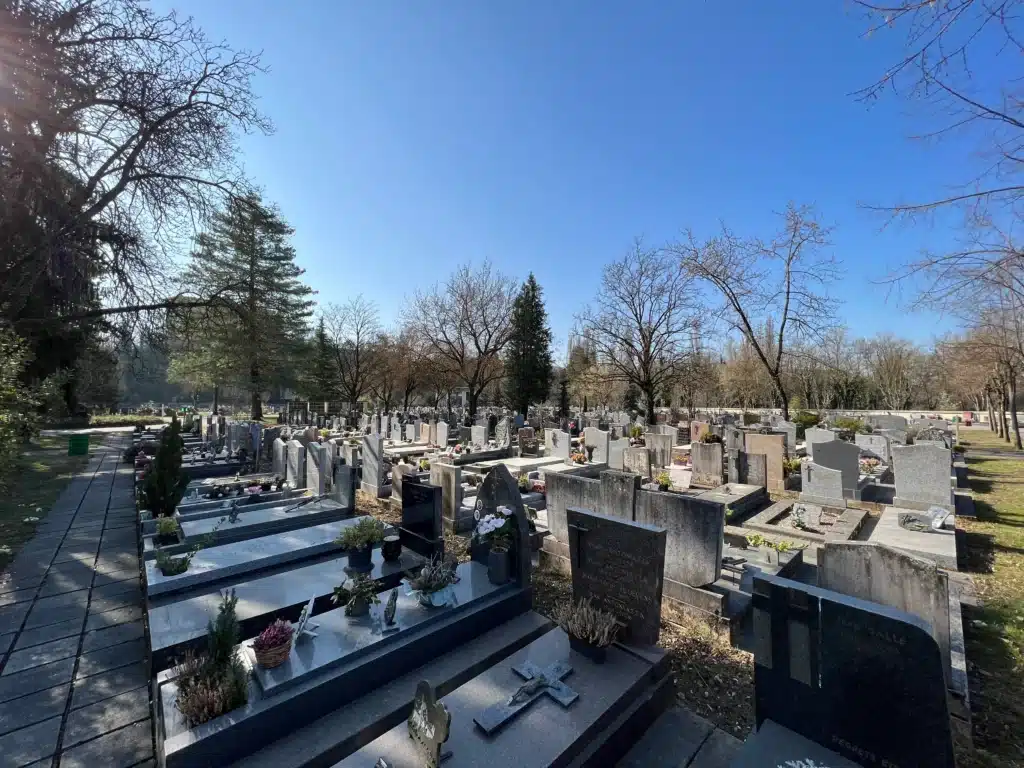 Allées et tombes dans un cimetière ensoleillé, rangées de pierres tombales et de croix, arbres dénudés autour.