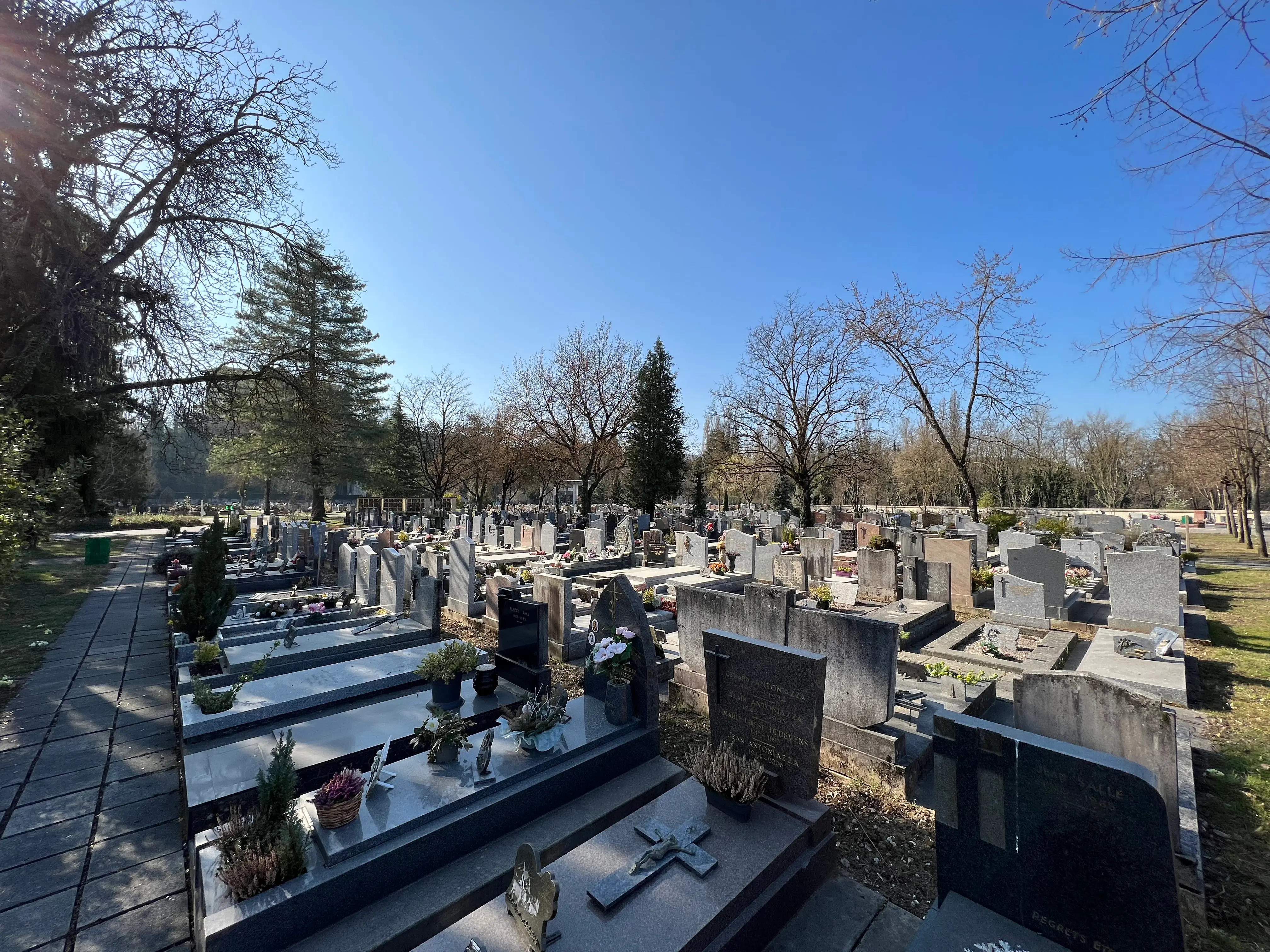Allées et tombes dans un cimetière ensoleillé, rangées de pierres tombales et de croix, arbres dénudés autour.