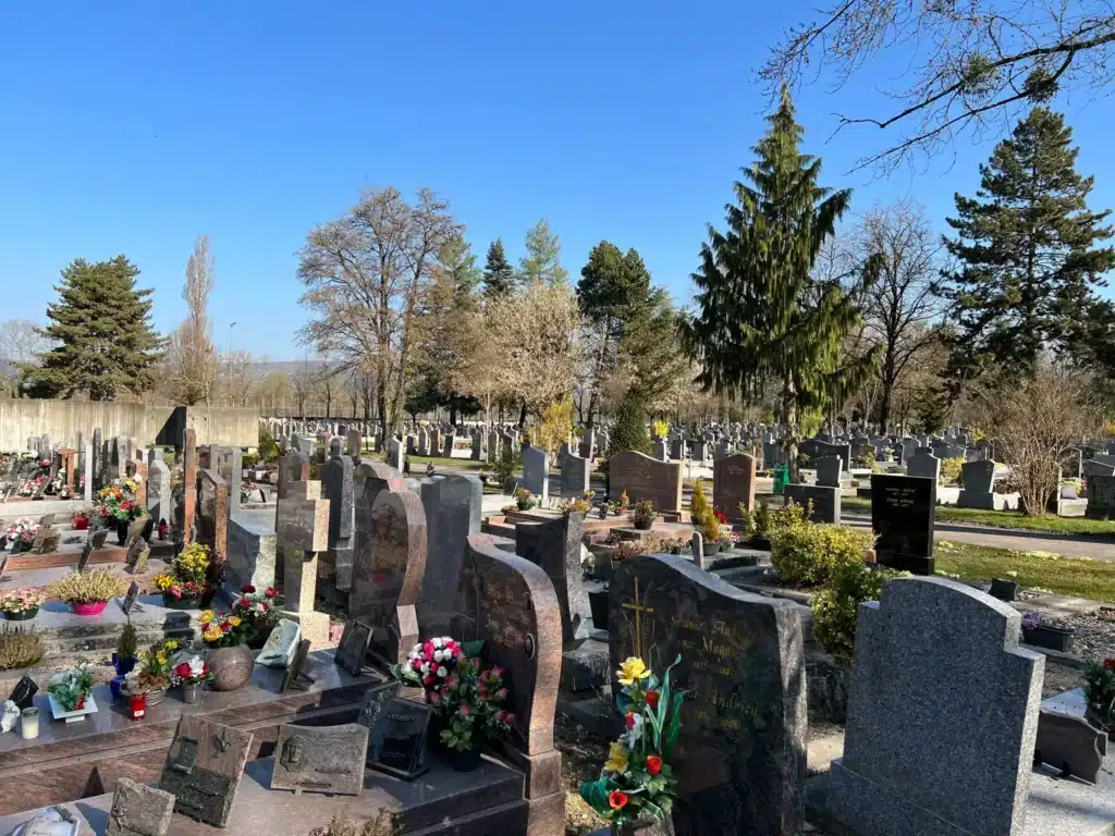 Cimetière avec de nombreuses tombes gravées, fleurs et arbres en arrière-plan, sur fond bleu clair. Assurer une tombe est évoqué par le cadre général du lieu.
