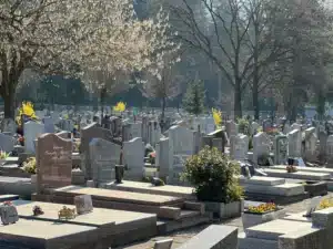 Cimetières avec de nombreuses tombes, arbres et fleurs au milieu d’un espace verdoyant.
