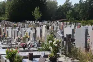 Vue d’un cimetière avec de nombreuses tombes et pierres tombales, fleurs et végétation en premier plan.