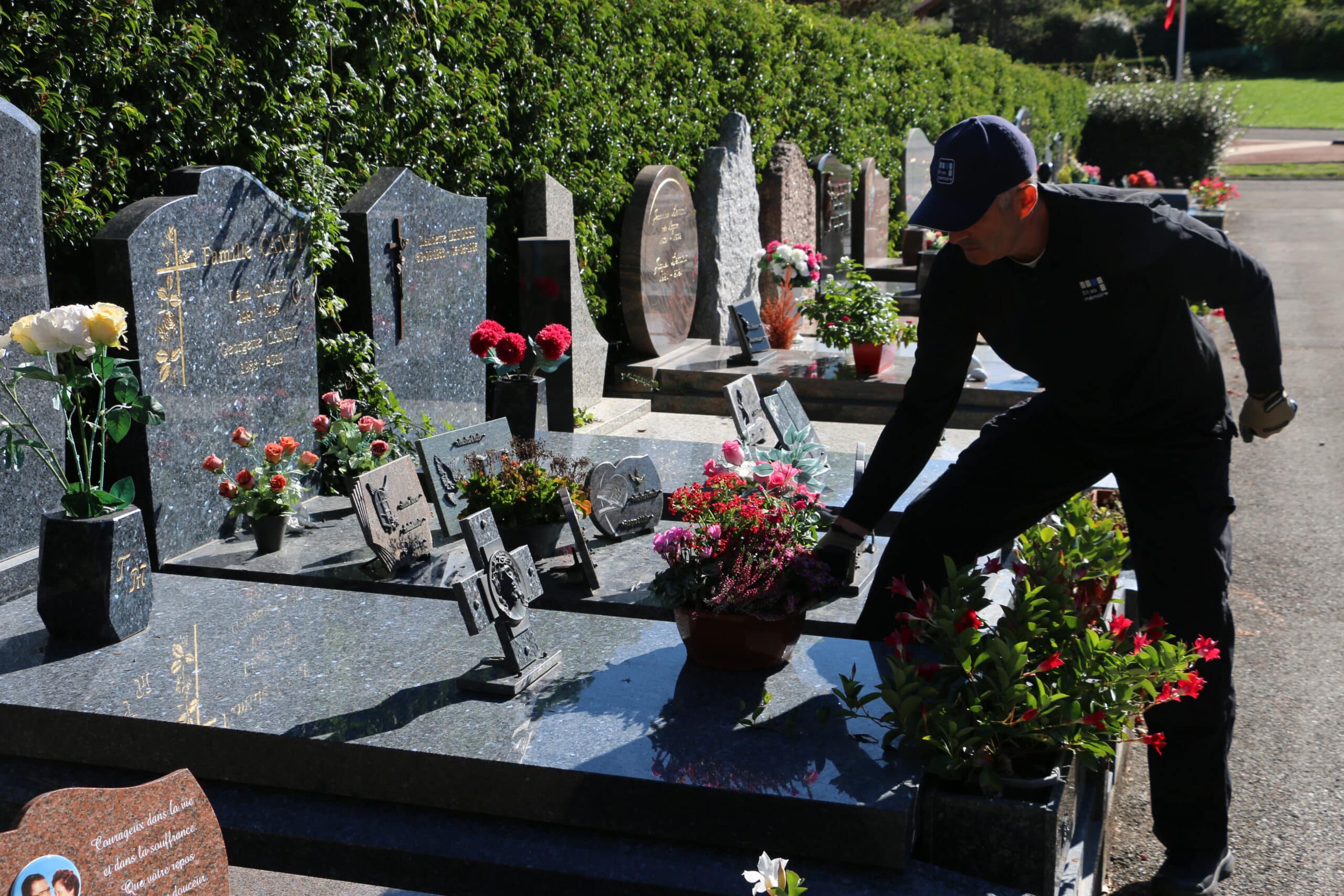 Agent nettoyant une tombe au cimetière, repositionnant des pots de fleurs sur une plaque gravée, entouré de tombes et de verdure. (intègre "comment enlever les mauvaises herbes autour d'une tombe")