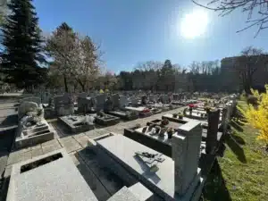 Allée du cimetière avec des tombes en pierres gravées, arbres et soleil brillant à l'horizon. Coût d'un renouvellement de concession funéraire évoqué par le contexte aura voix.