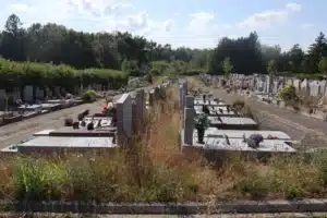 Cimetière urbain avec rangées de tombes plates et monumentales, herbes folles au premier plan, allées centrales et arbrégées au loin.