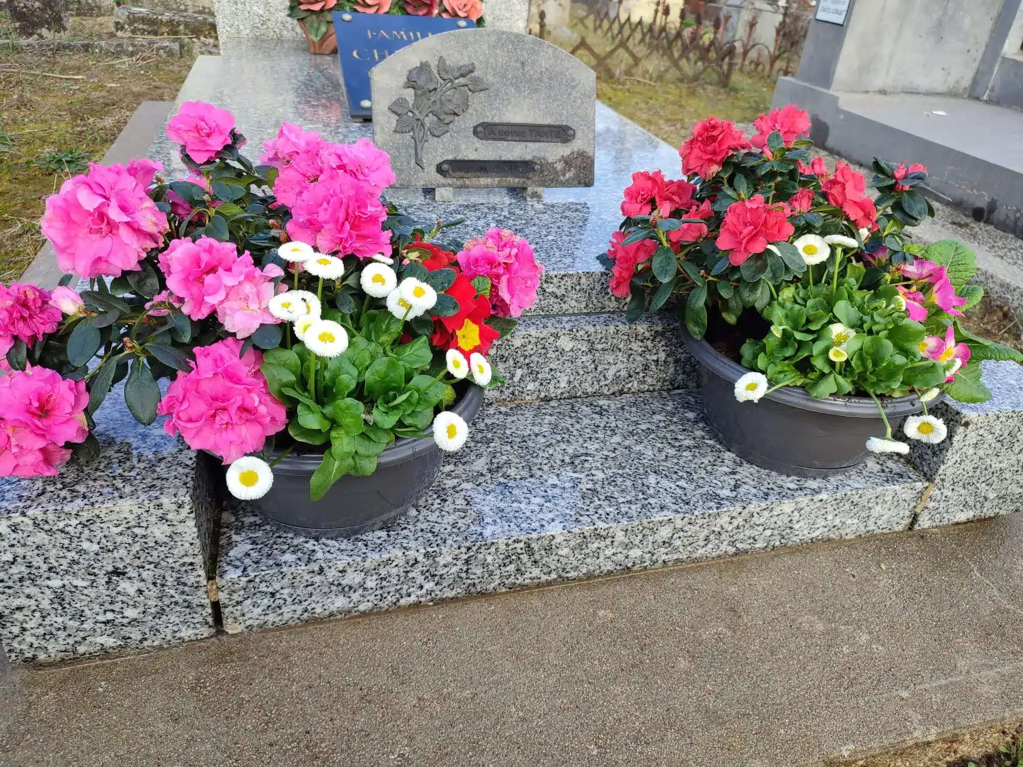 Deux tombes fleuries avec des jardinières de muguets et roses roses, posées sur une dalle de pierre/granite dans un cimetière. Deux tombes fleuries avec des jardinières de muguets et roses roses, posées sur une dalle de pierre/granite dans un cimetière.