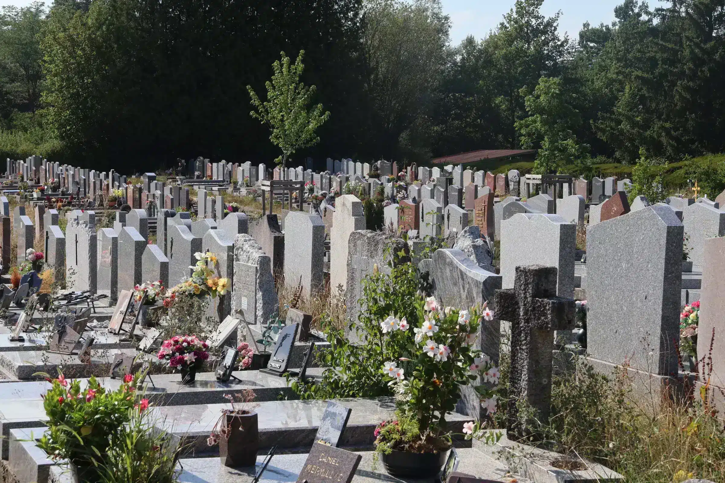 Vue d’un cimetière avec des tombes en pierre, fleurs et bouquets, allées ombragées et gazon autour des monuments funéraires. droits succession entretien tombe