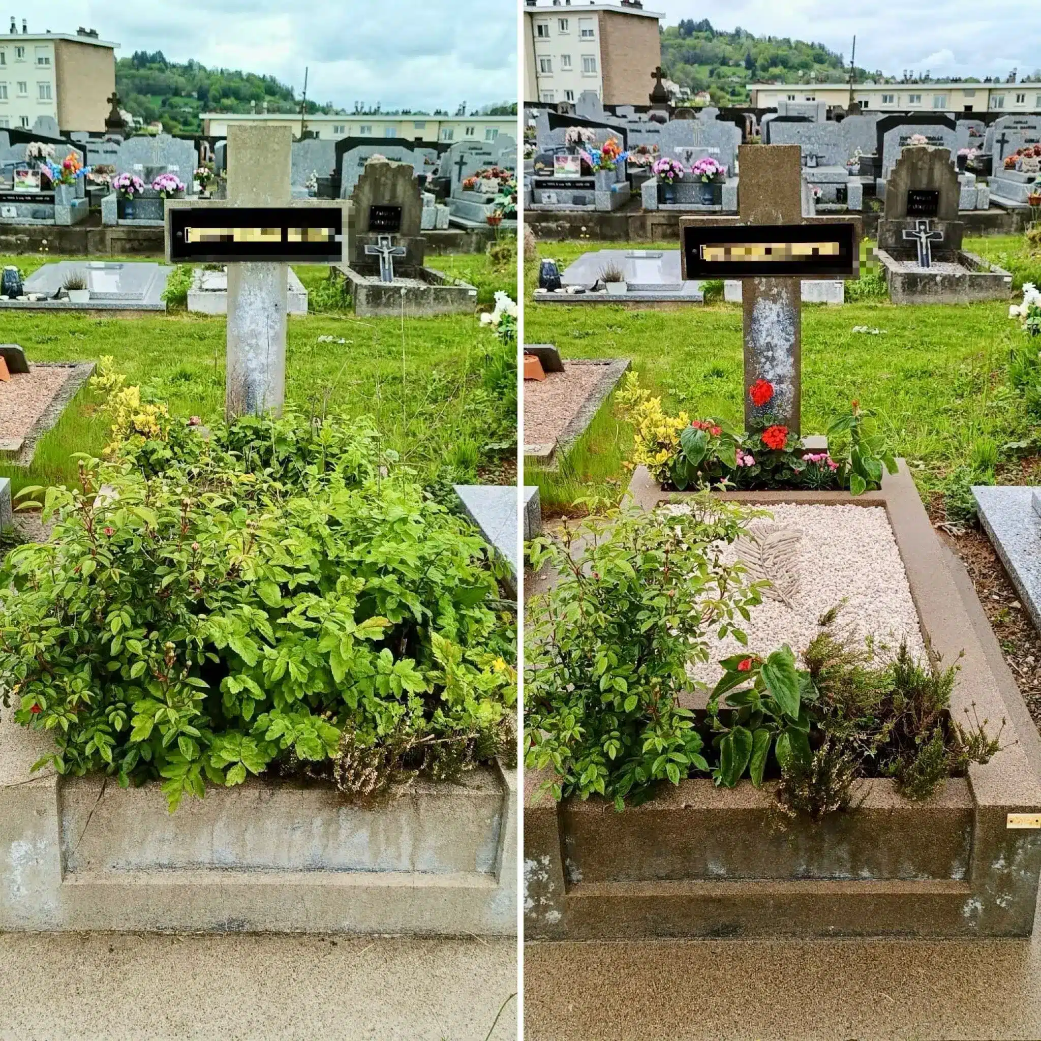Avant et après entretien d’une tombe: parterre rectangulaire avec buis et fleurs abondants, avant nettoyage dense de végétation; après, jardin reçu et fleurissement tombe régulier avec plantes taillées et intersection nette.