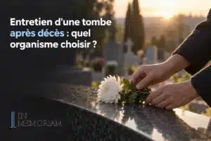 Entretien d'une tombe après décès : quel organisme choisir ? - une main dépose une fleur blanche sur une tombe au cimetière, ambiance crépusculaire.