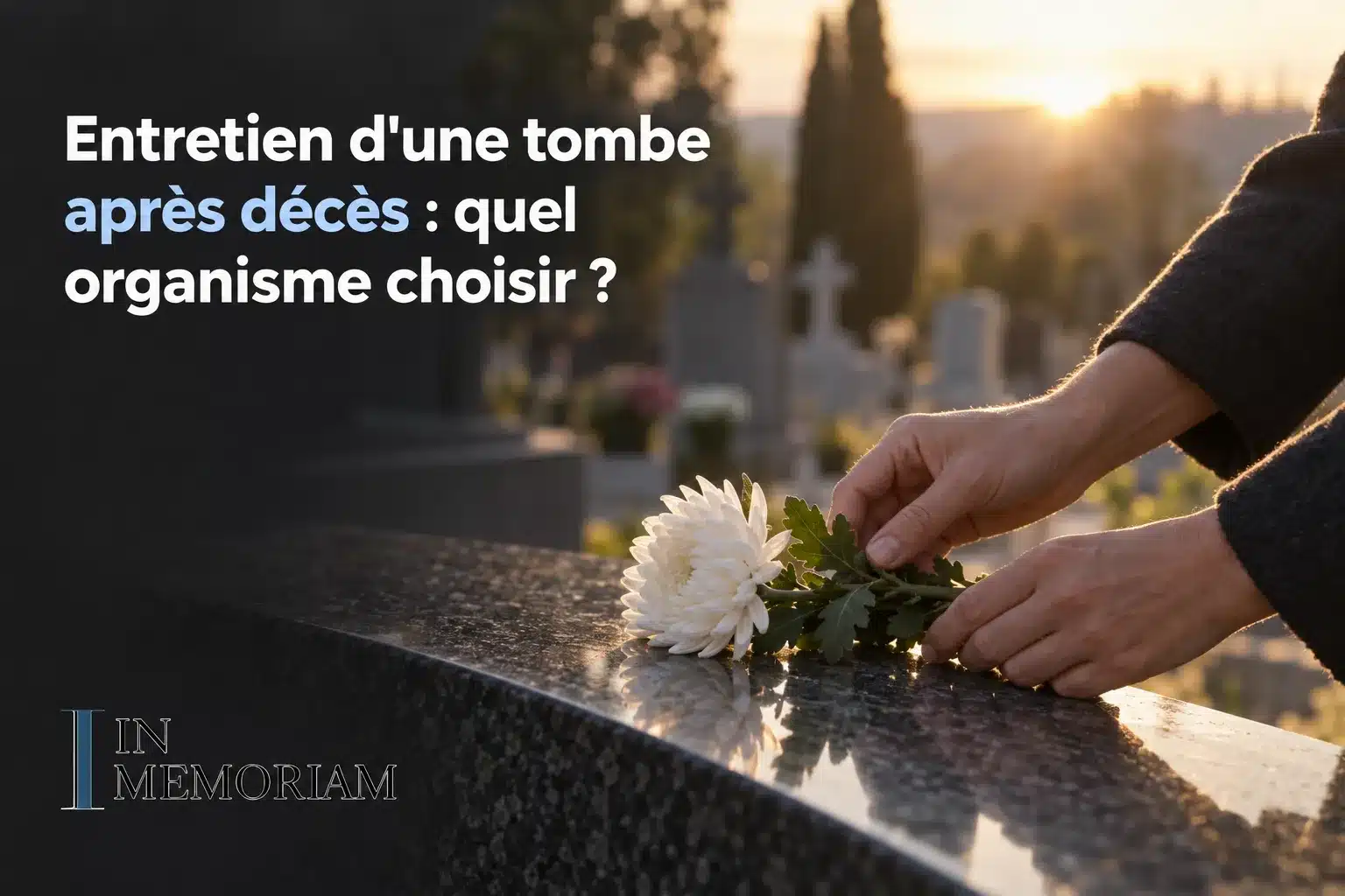 Entretien d'une tombe après décès : quel organisme choisir ? - une main dépose une fleur blanche sur une tombe au cimetière, ambiance crépusculaire.