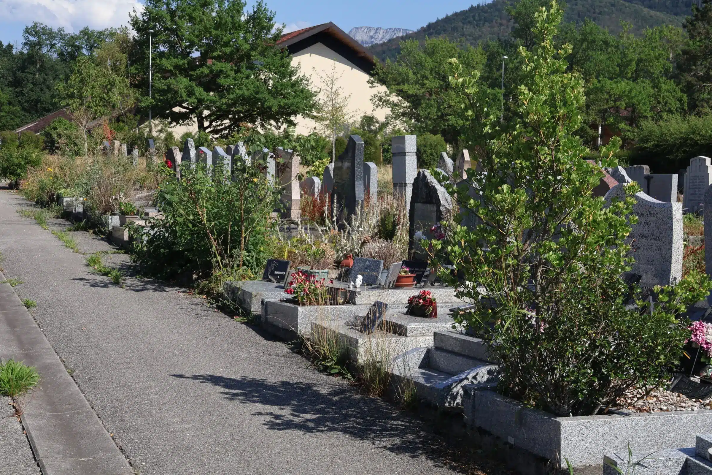 Allée de cimetière pavée avec des tombes et monuments en pierre, entourée de végétation et d’arbres, sous un ciel clair.