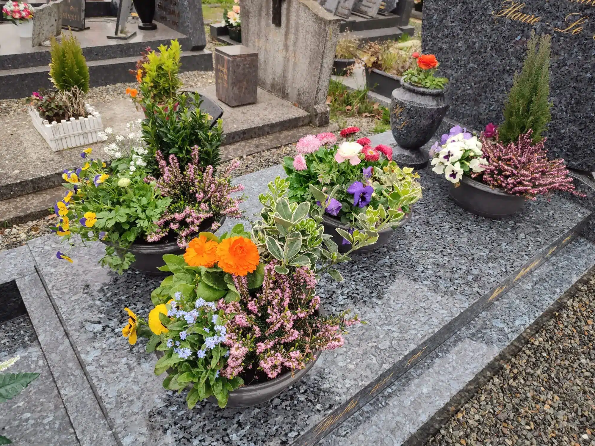 Flaconnage de tombes: jardinières colorées avec fleurs variées sur un dallage funéraire, ambiance de cimetière.